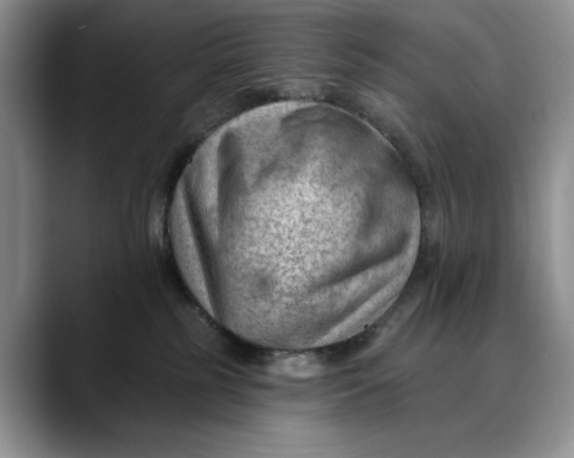 X0000088410185200706121421