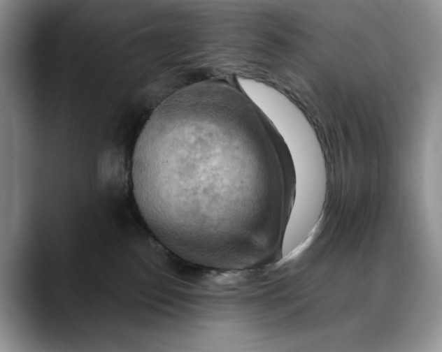 X0000088410186200706121421