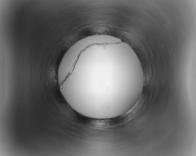 X0000088410187200706121421