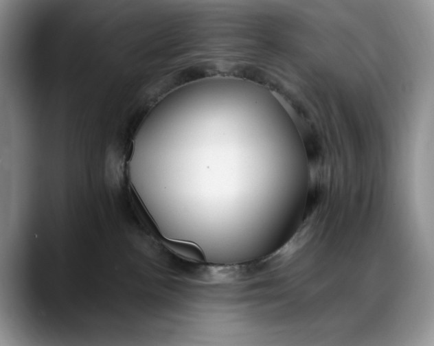 X0000088410188200706121421