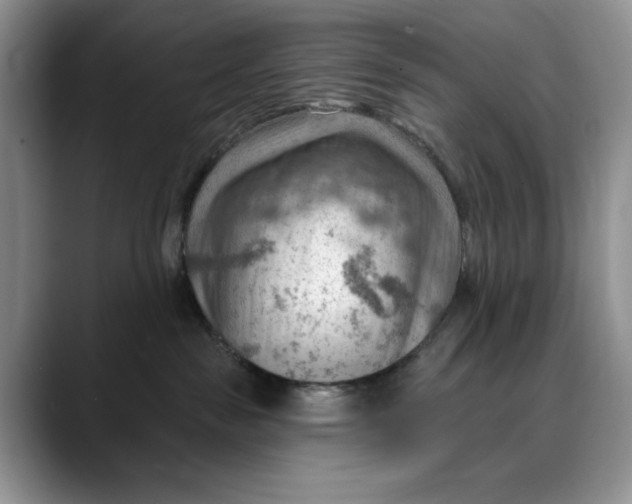 X0000088410189200706121421