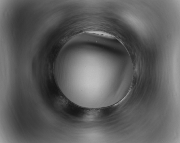 X0000088410191200706121421