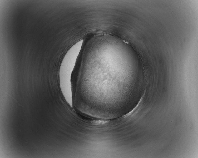 X0000088410192200706121421