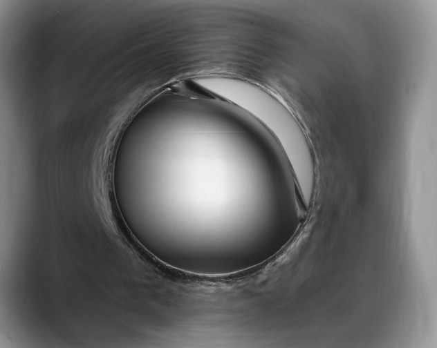 X0000088410193200706121420