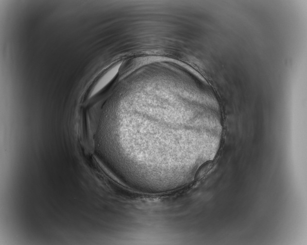 X0000088410194200706121420