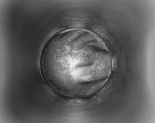 X0000088410195200706121420