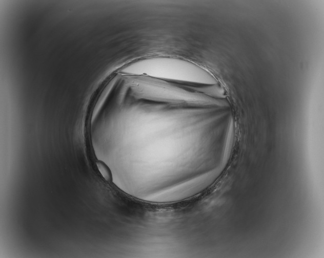 X0000088410196200706121420