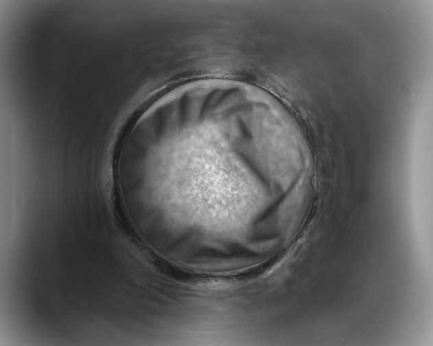 X0000088410198200706121420