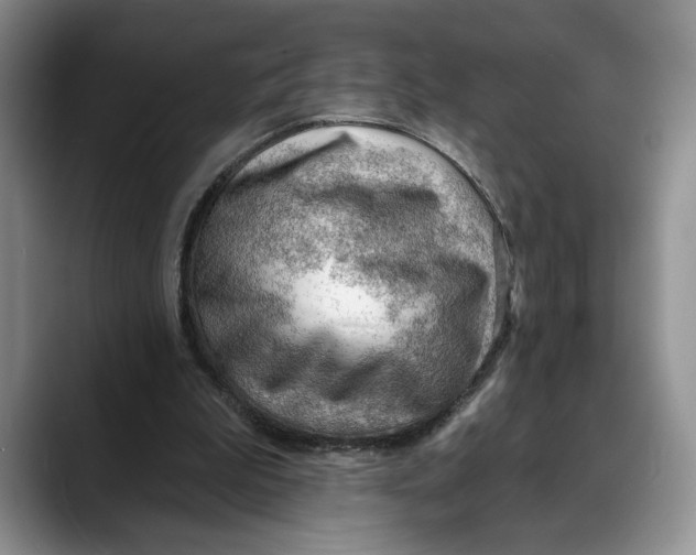 X0000088410199200706121420