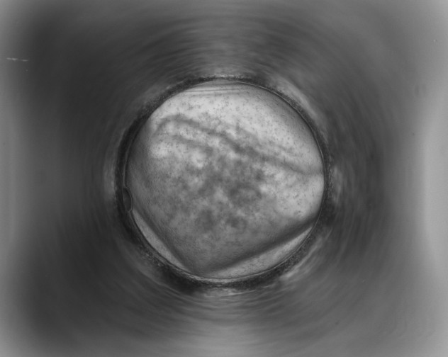 X0000088410203200706121420