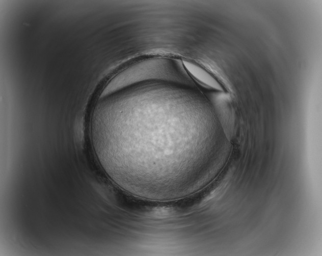 X0000088410204200706121420