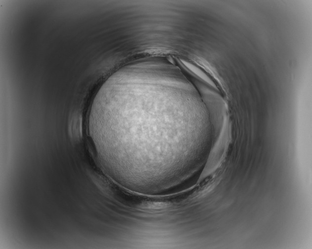 X0000088410205200706121420