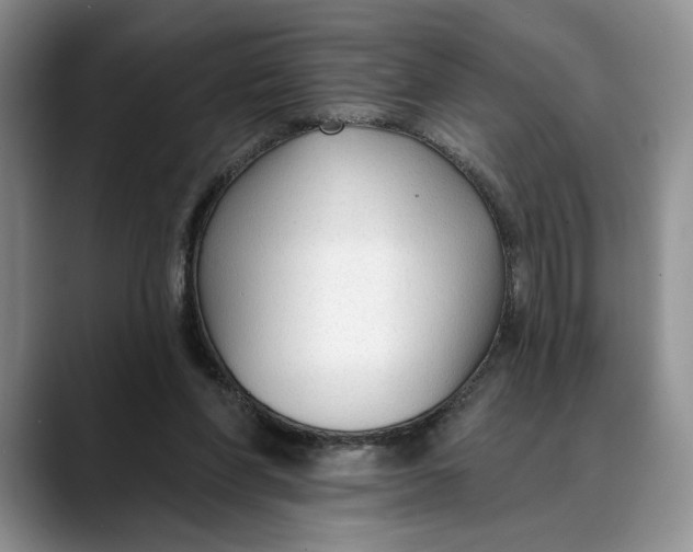 X0000088410206200706121420