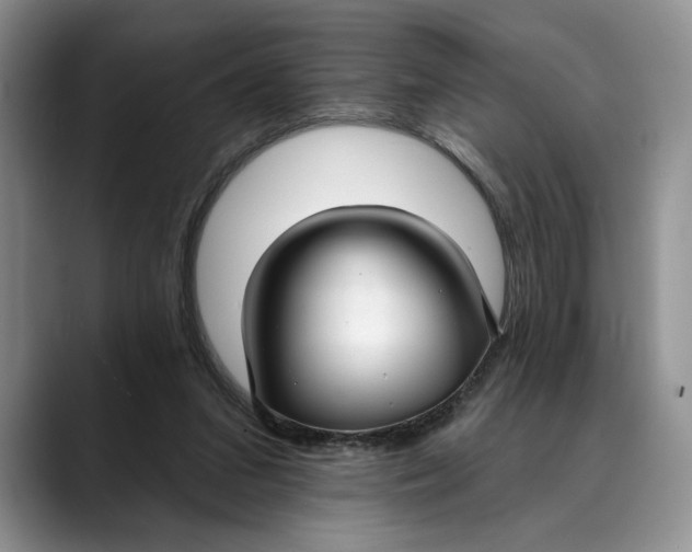 X0000088410207200706121420