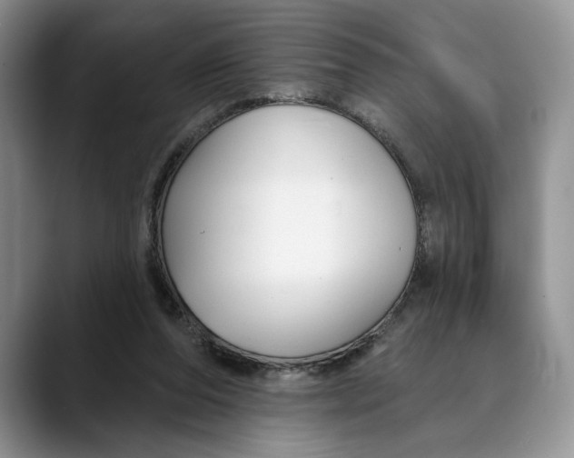 X0000088410208200706121420