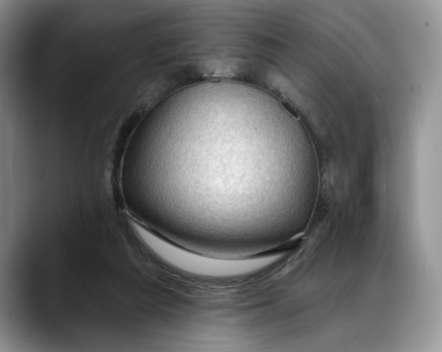 X0000088410209200706121420