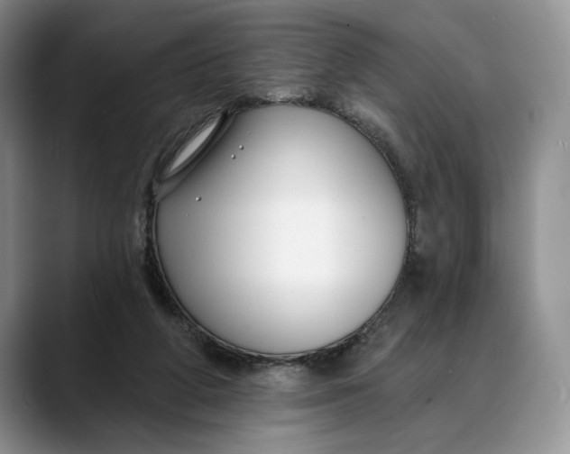 X0000088410210200706121420