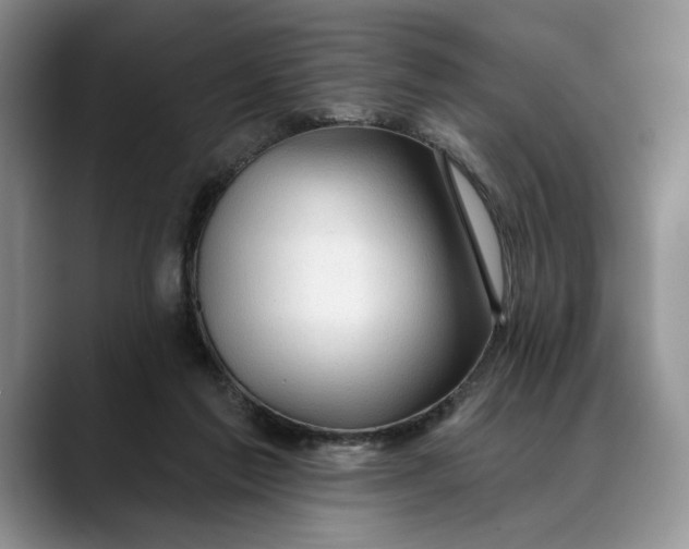 X0000088410213200706121420