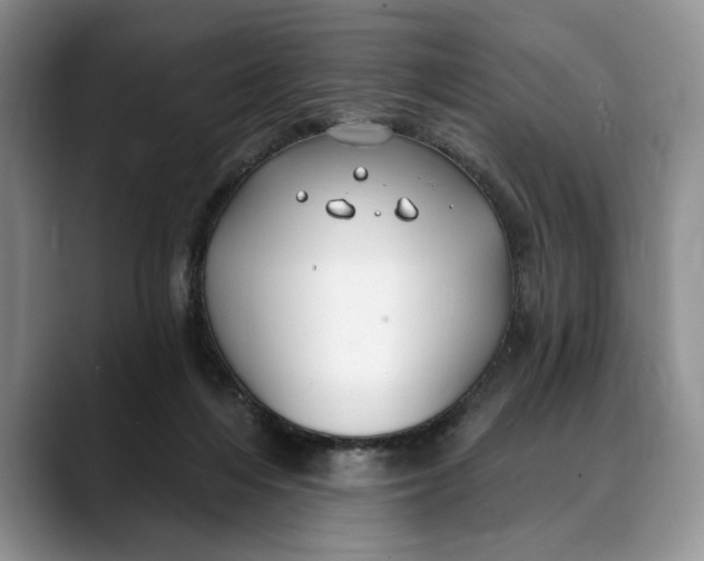 X0000088410216200706121420