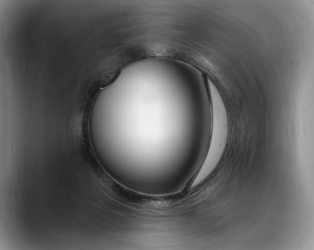 X0000088410217200706121420