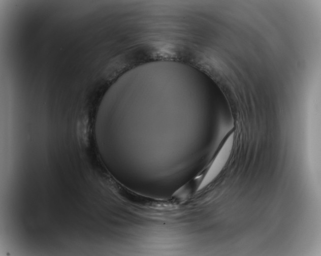 X0000088410223200706121420