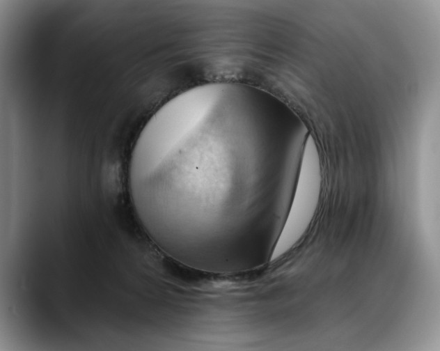 X0000088410224200706121420