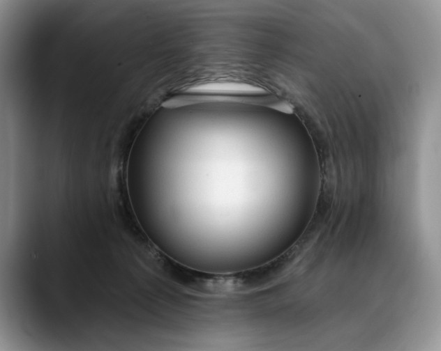 X0000088410225200706121420