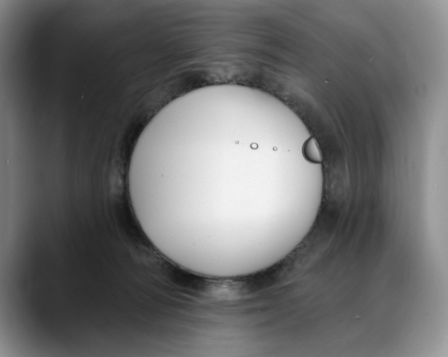 X0000088410226200706121420