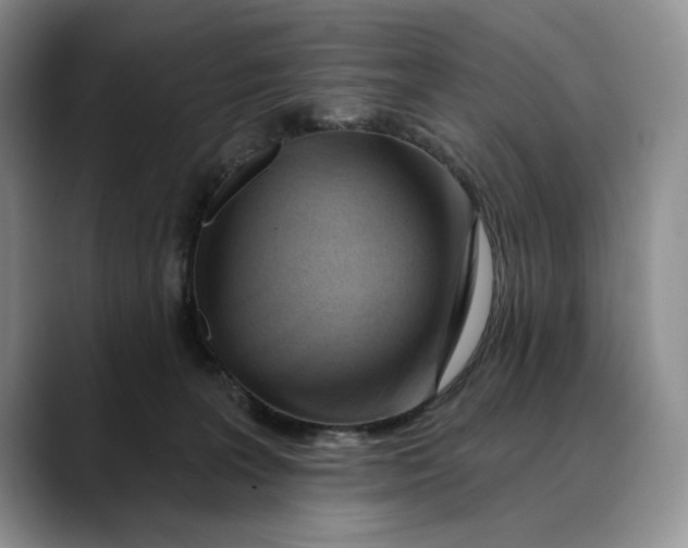 X0000088410227200706121420