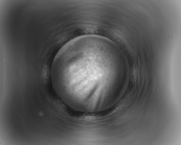 X0000088410228200706121420