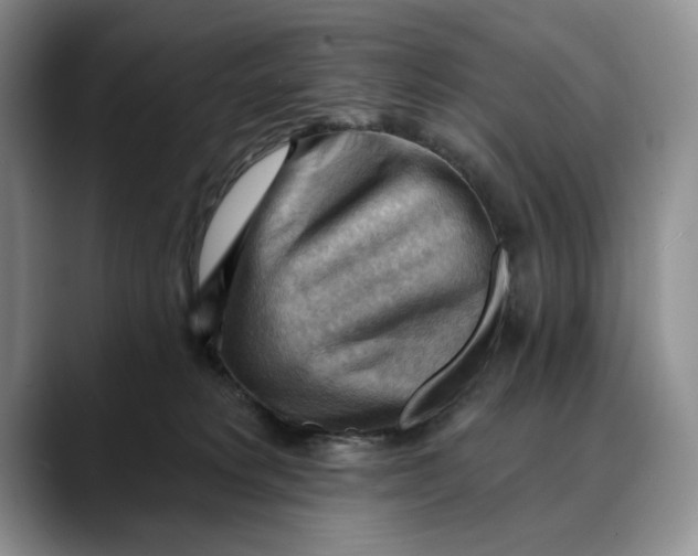 X0000088410229200706121420