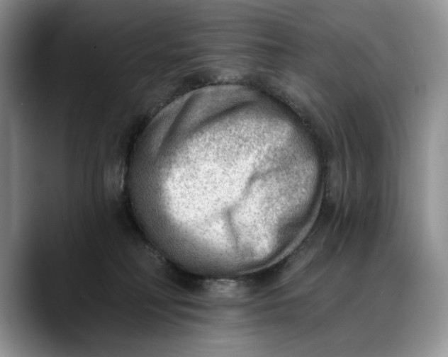 X0000088410230200706121420