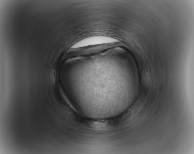 X0000088410232200706121420