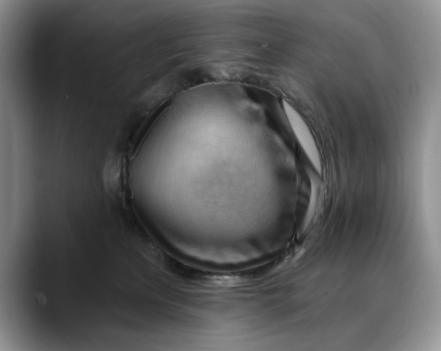 X0000088410233200706121420