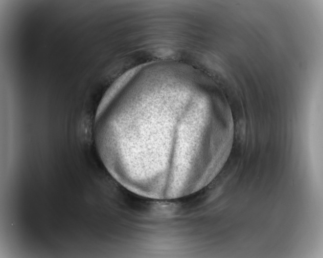 X0000088410234200706121420