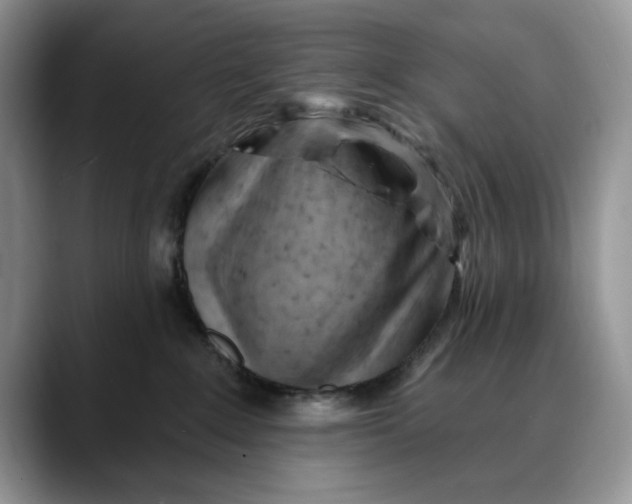 X0000088410235200706121420