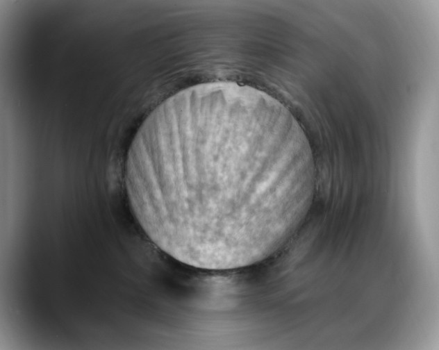 X0000088410236200706121420