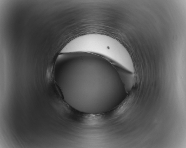 X0000088410239200706121420