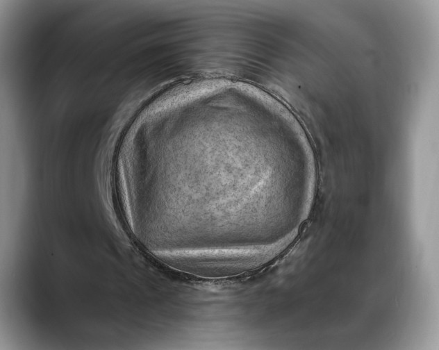 X0000088410241200706121419