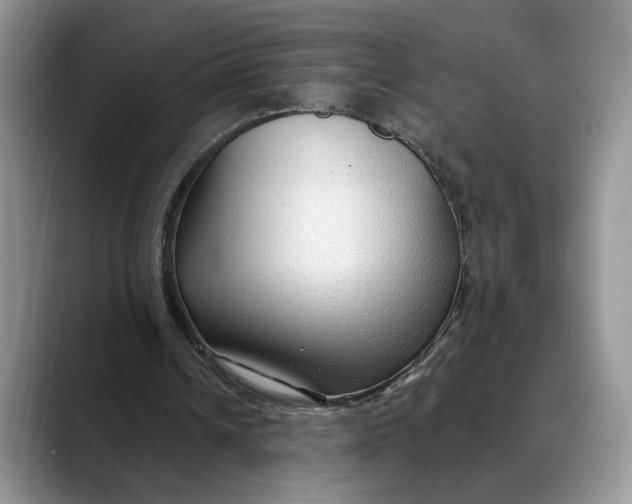 X0000088410242200706121419