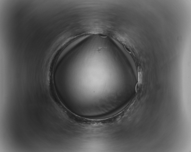 X0000088410243200706121419