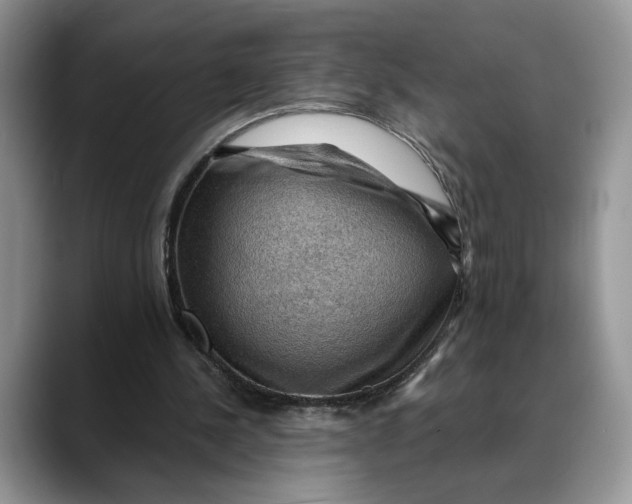 X0000088410244200706121419