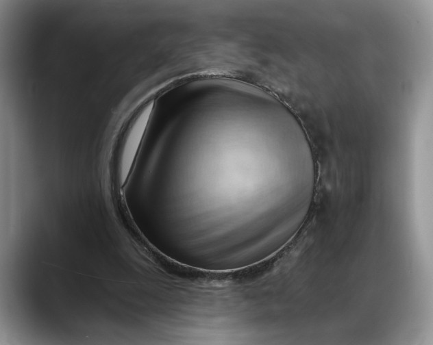 X0000088410247200706121419