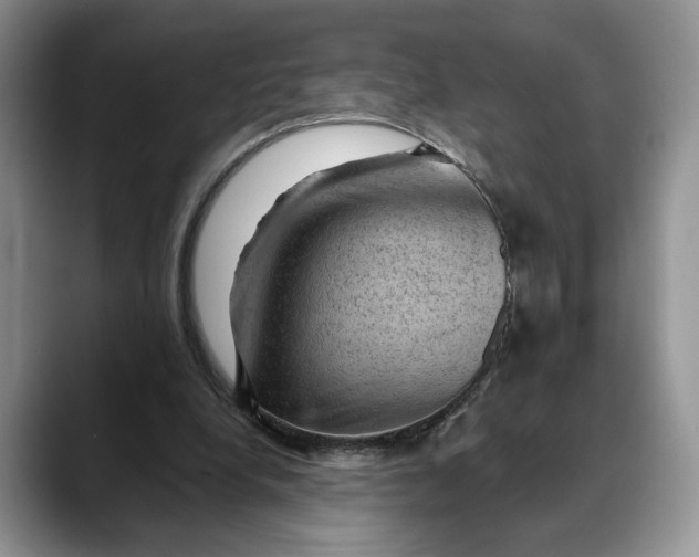 X0000088410248200706121419