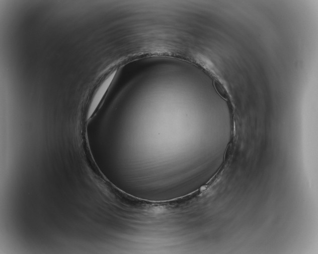 X0000088410249200706121419