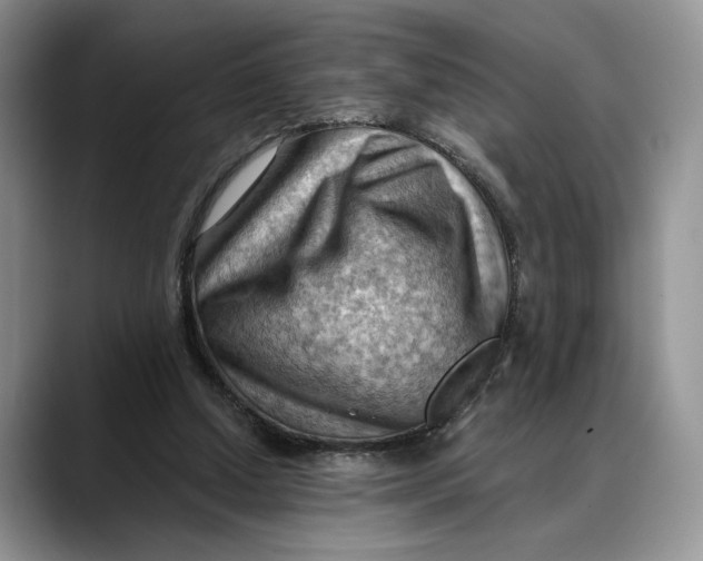 X0000088410250200706121419