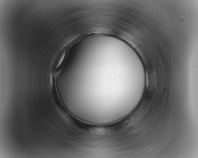 X0000088410253200706121420