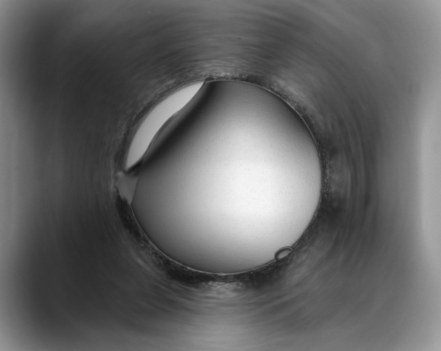 X0000088410255200706121420