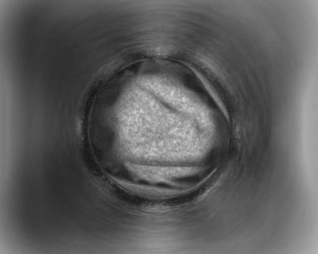 X0000088410258200706121420