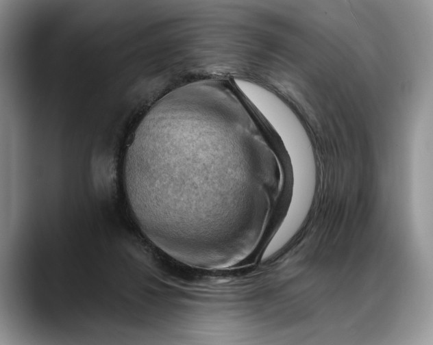 X0000088410260200706121420